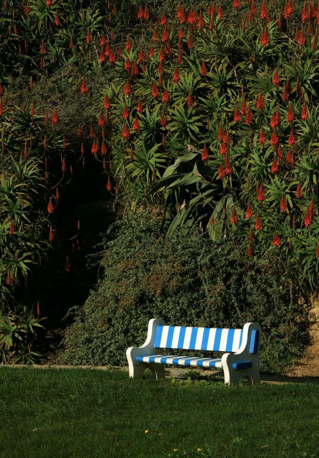 Azenhas Do Mar Cottage Sintra Dış mekan fotoğraf